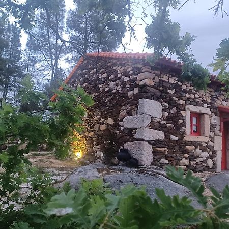 فيلا Casa Do Feitor - Douro - Quinta Da Cabrida Sendim  المظهر الخارجي الصورة