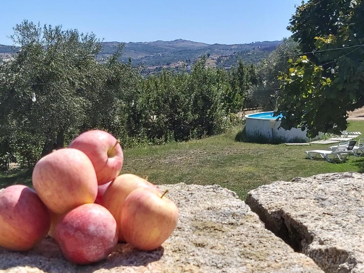 فيلا Casa Do Feitor - Douro - Quinta Da Cabrida Sendim  المظهر الخارجي الصورة