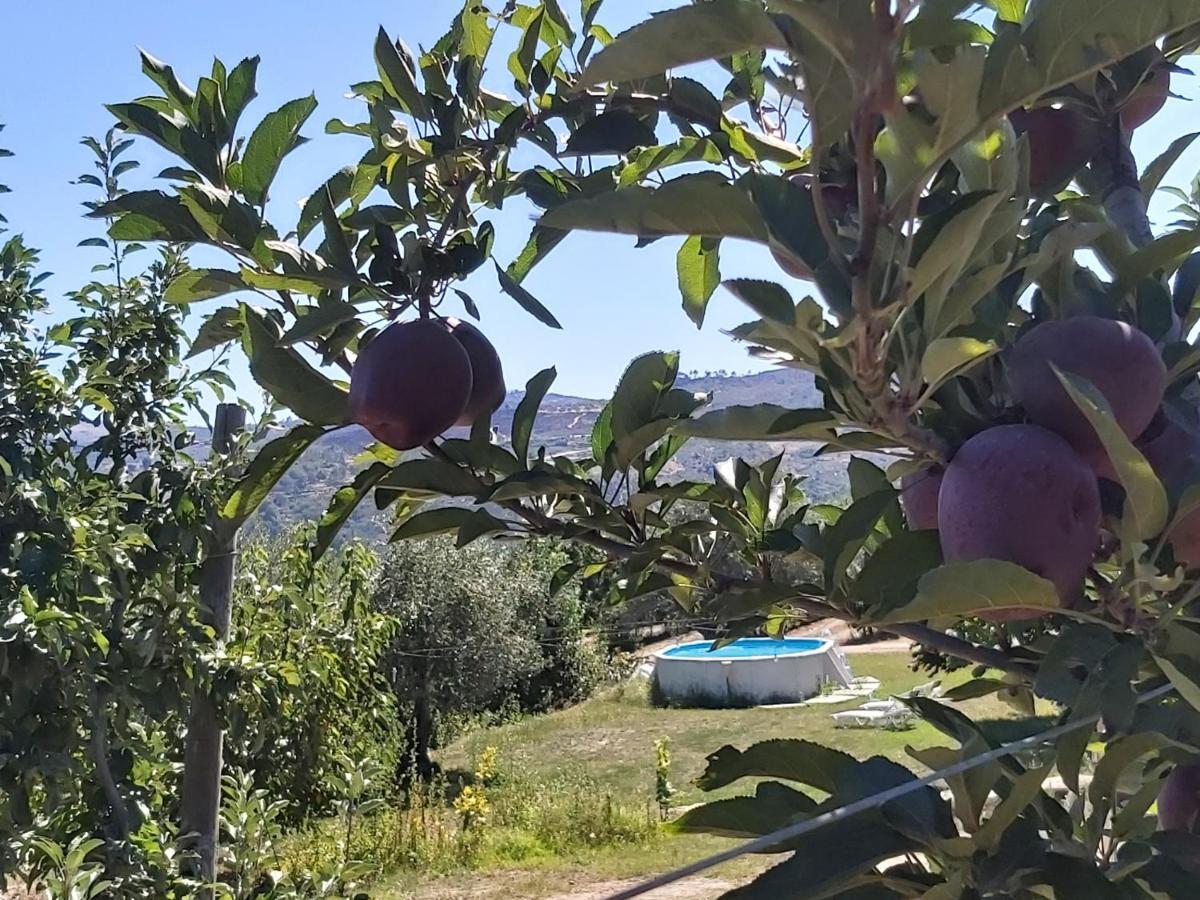 فيلا Casa Do Feitor - Douro - Quinta Da Cabrida Sendim  المظهر الخارجي الصورة