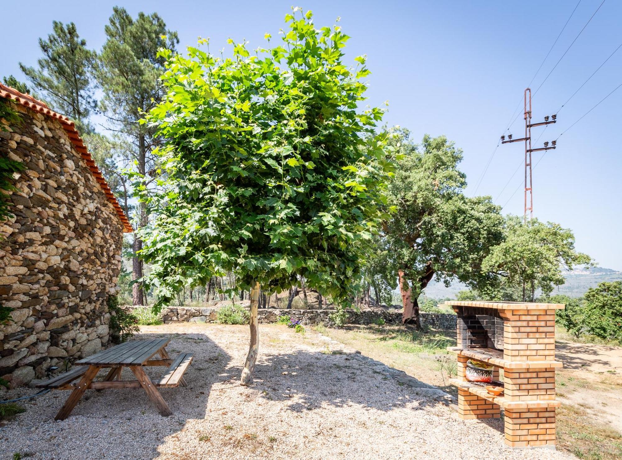 فيلا Casa Do Feitor - Douro - Quinta Da Cabrida Sendim  المظهر الخارجي الصورة