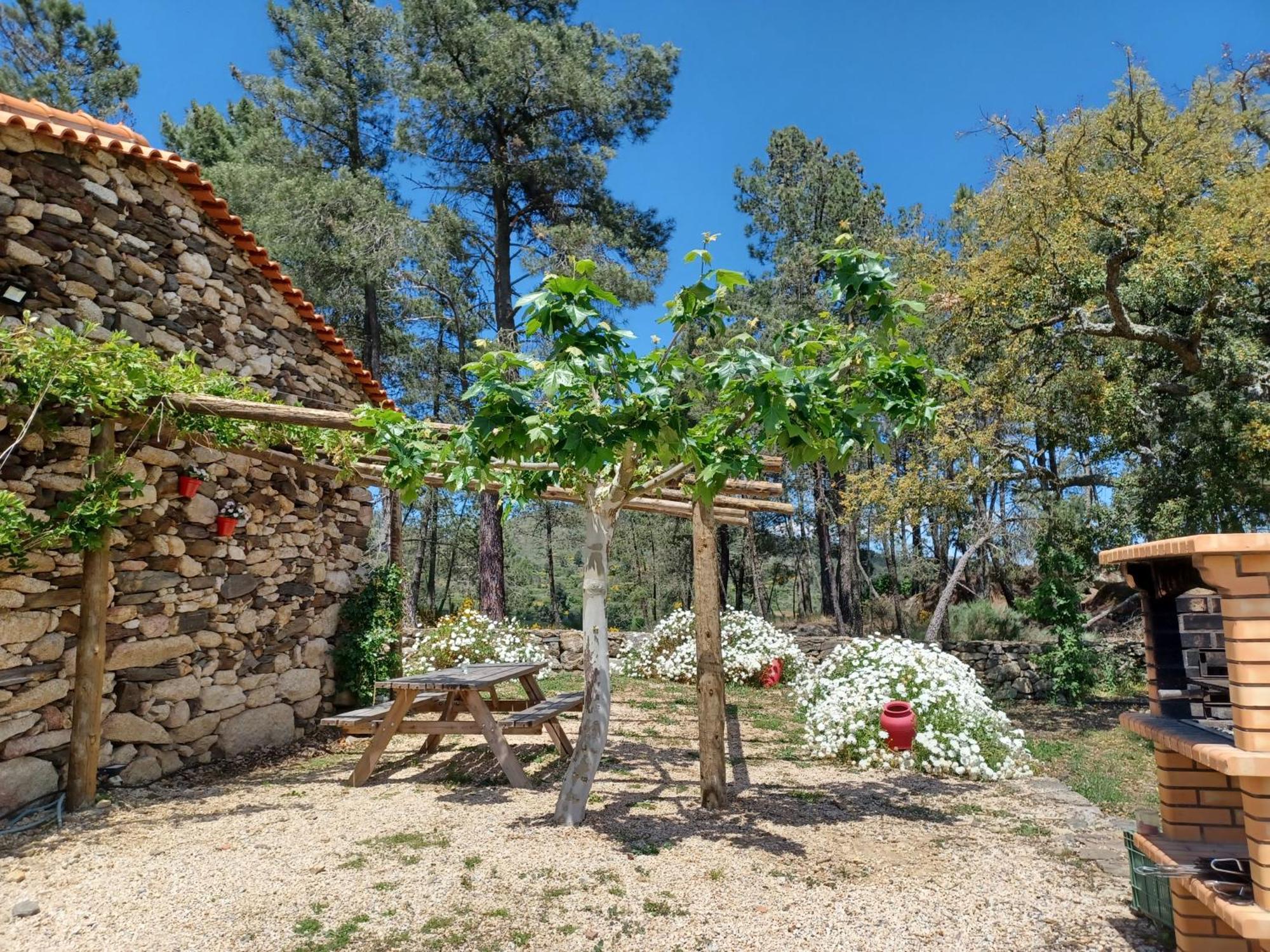فيلا Casa Do Feitor - Douro - Quinta Da Cabrida Sendim  المظهر الخارجي الصورة