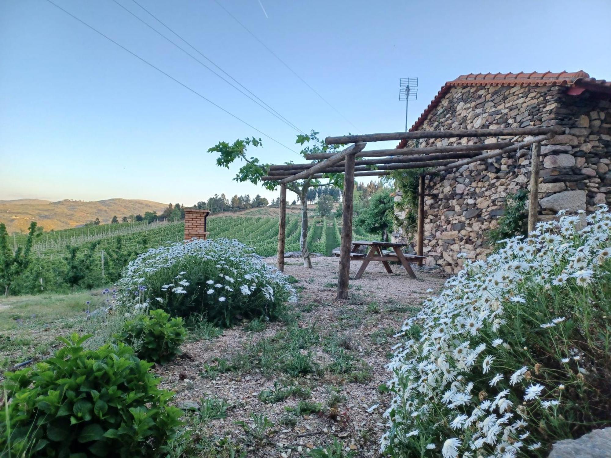 فيلا Casa Do Feitor - Douro - Quinta Da Cabrida Sendim  المظهر الخارجي الصورة