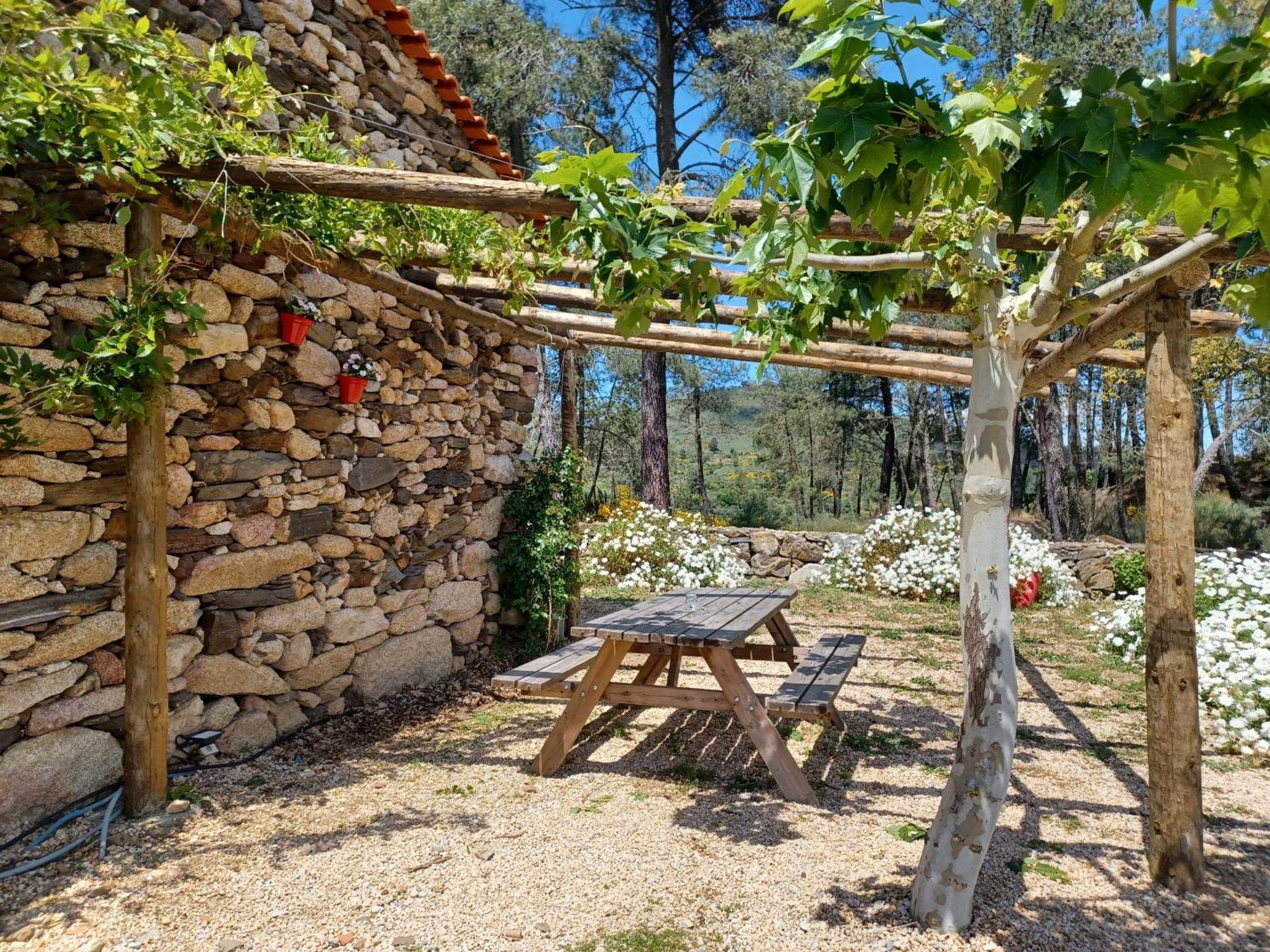 فيلا Casa Do Feitor - Douro - Quinta Da Cabrida Sendim  المظهر الخارجي الصورة