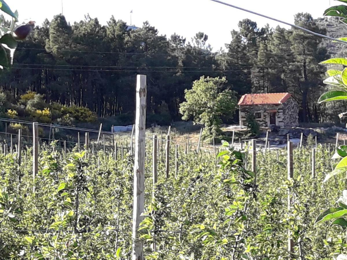 فيلا Casa Do Feitor - Douro - Quinta Da Cabrida Sendim  المظهر الخارجي الصورة
