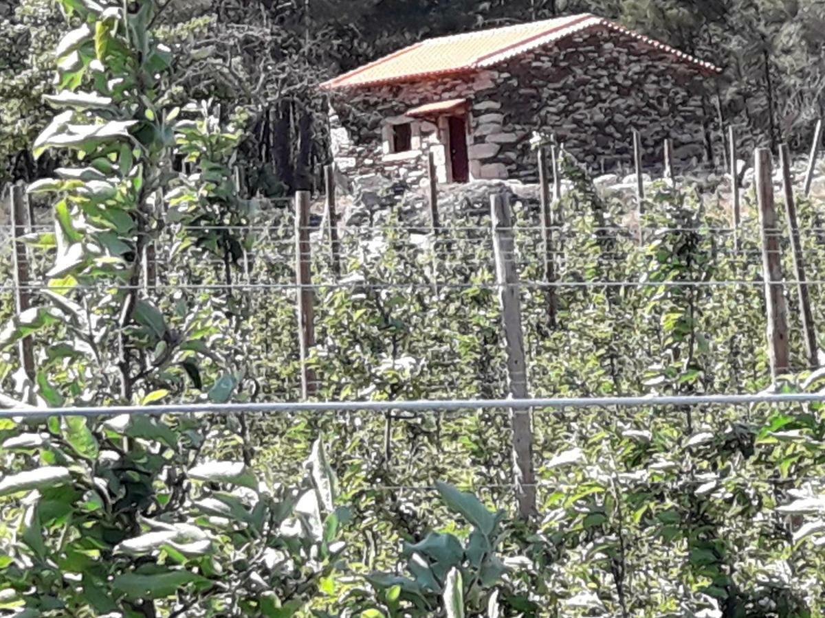 فيلا Casa Do Feitor - Douro - Quinta Da Cabrida Sendim  المظهر الخارجي الصورة