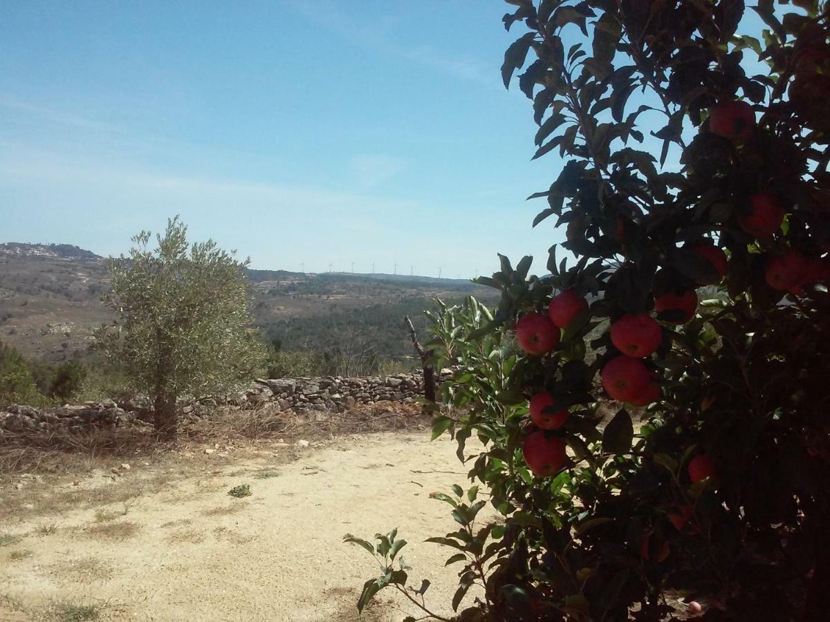 فيلا Casa Do Feitor - Douro - Quinta Da Cabrida Sendim  المظهر الخارجي الصورة