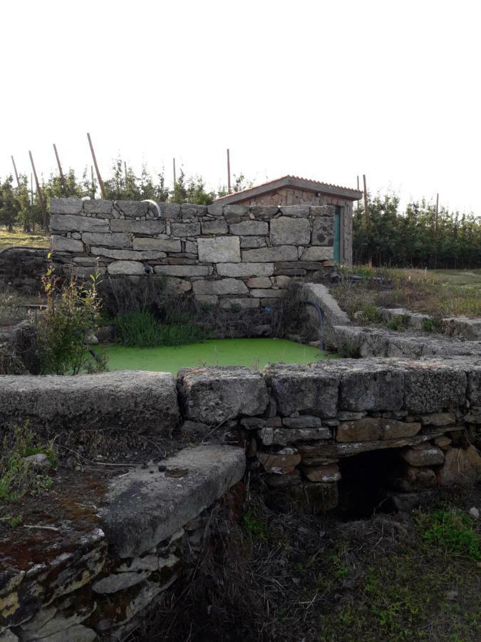 فيلا Casa Do Feitor - Douro - Quinta Da Cabrida Sendim  المظهر الخارجي الصورة