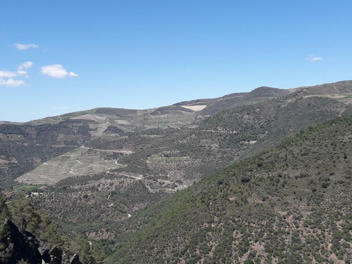 فيلا Casa Do Feitor - Douro - Quinta Da Cabrida Sendim  المظهر الخارجي الصورة