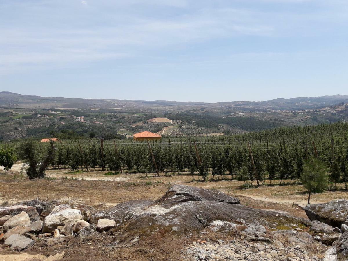 فيلا Casa Do Feitor - Douro - Quinta Da Cabrida Sendim  المظهر الخارجي الصورة
