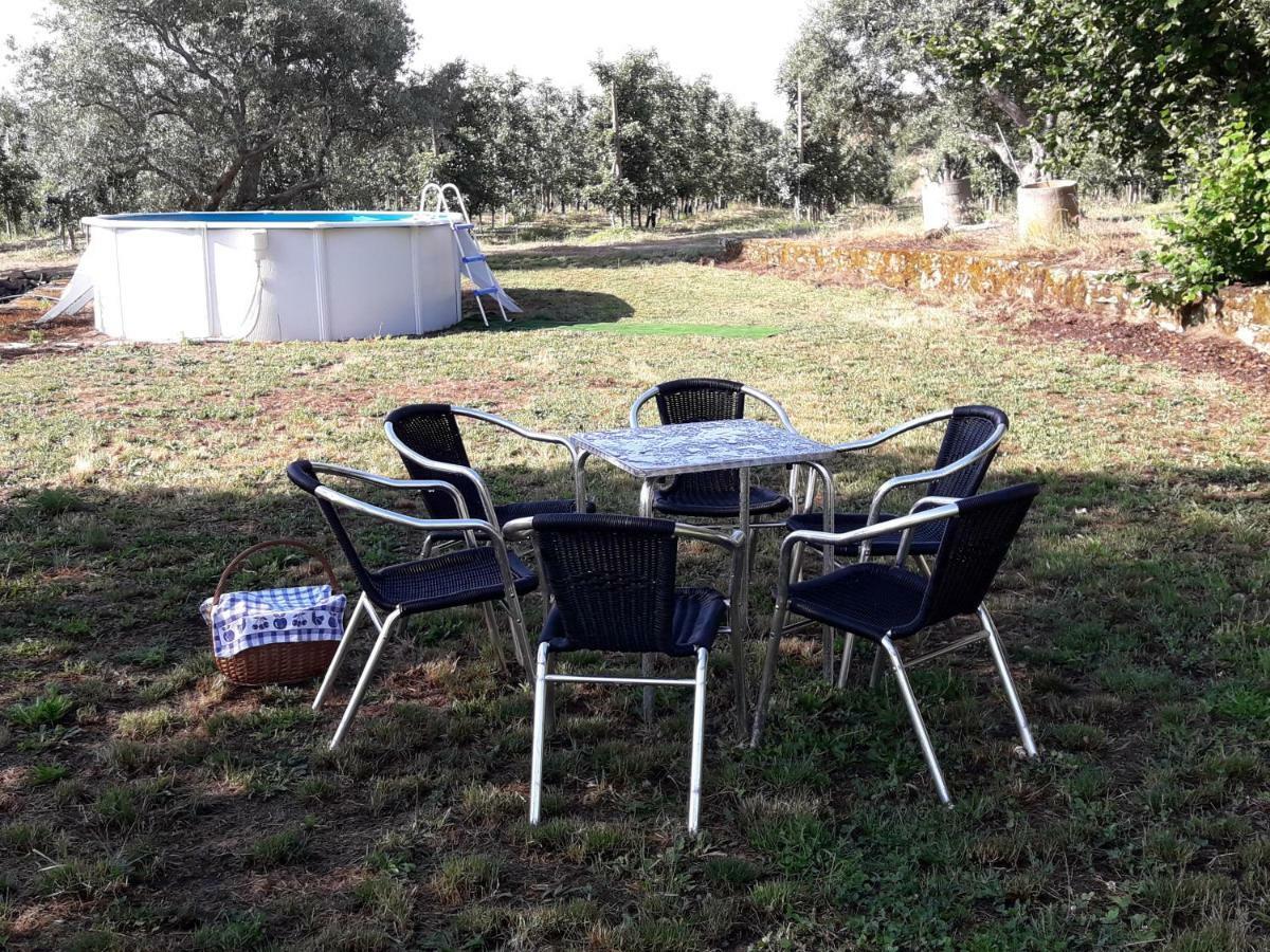 فيلا Casa Do Feitor - Douro - Quinta Da Cabrida Sendim  المظهر الخارجي الصورة