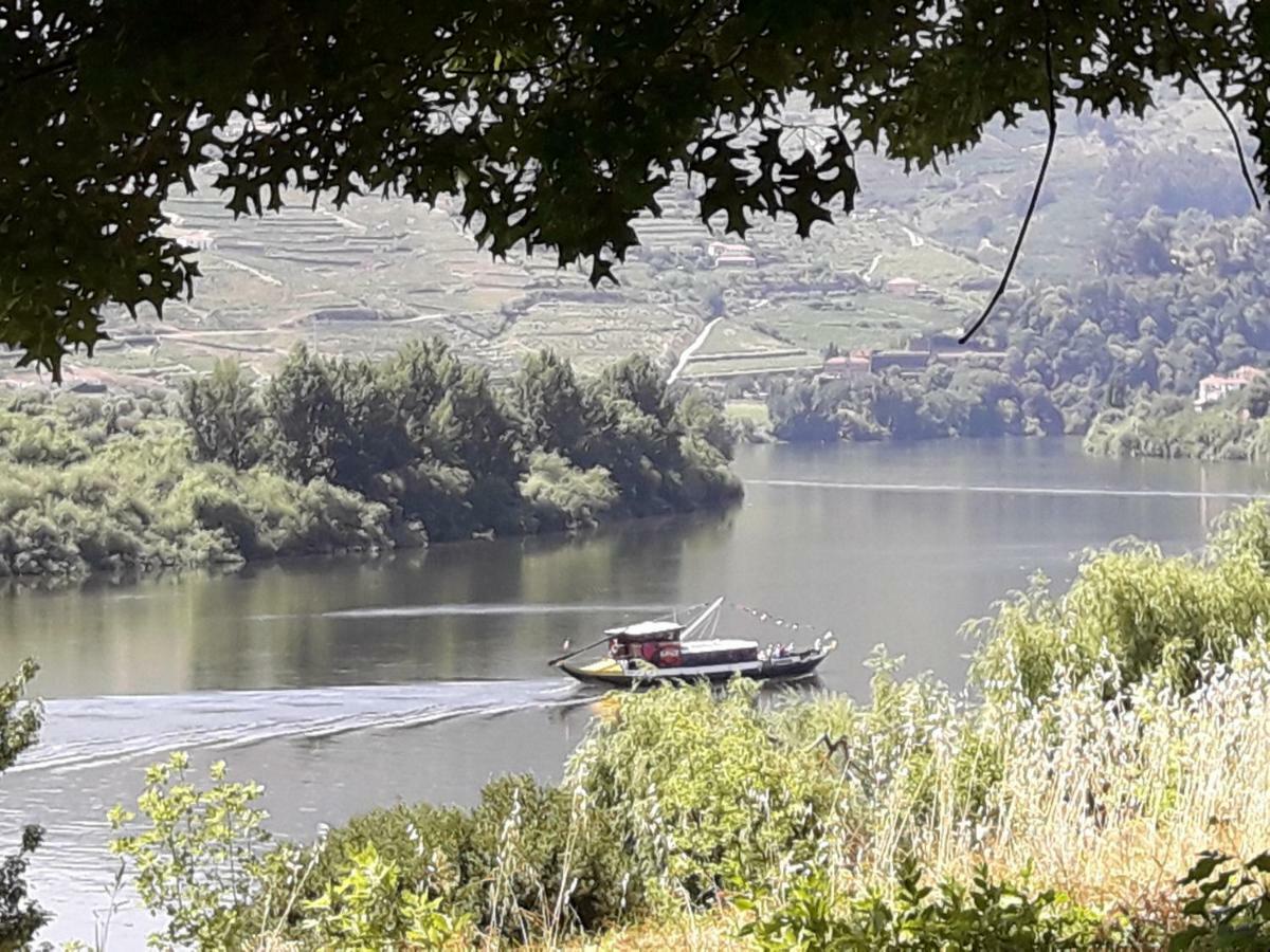 فيلا Casa Do Feitor - Douro - Quinta Da Cabrida Sendim  المظهر الخارجي الصورة