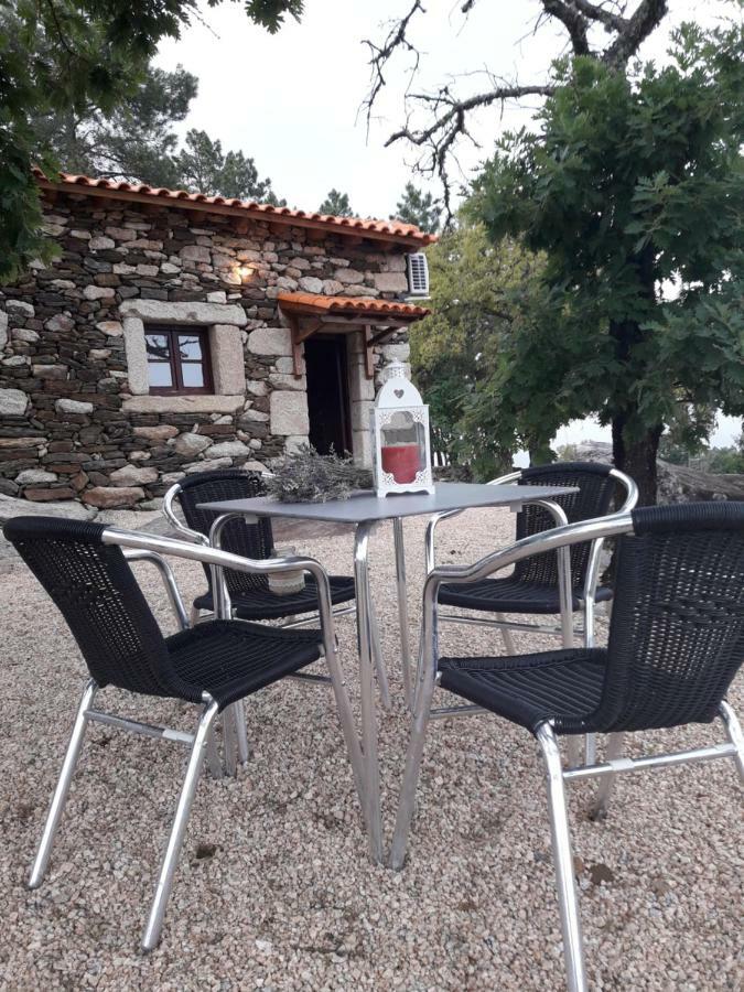 فيلا Casa Do Feitor - Douro - Quinta Da Cabrida Sendim  المظهر الخارجي الصورة