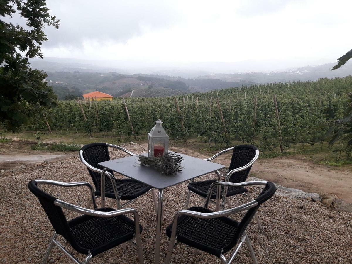 فيلا Casa Do Feitor - Douro - Quinta Da Cabrida Sendim  المظهر الخارجي الصورة