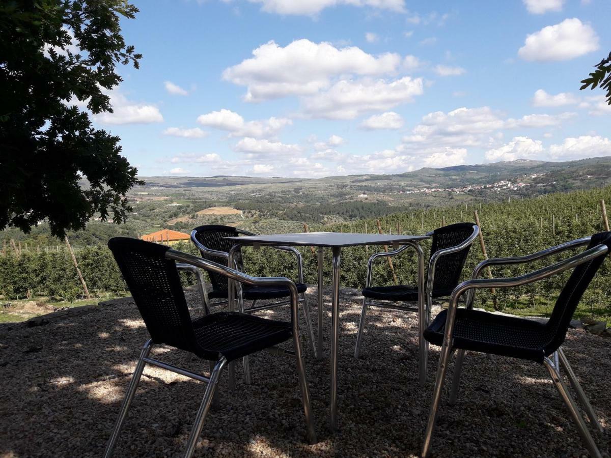 فيلا Casa Do Feitor - Douro - Quinta Da Cabrida Sendim  المظهر الخارجي الصورة