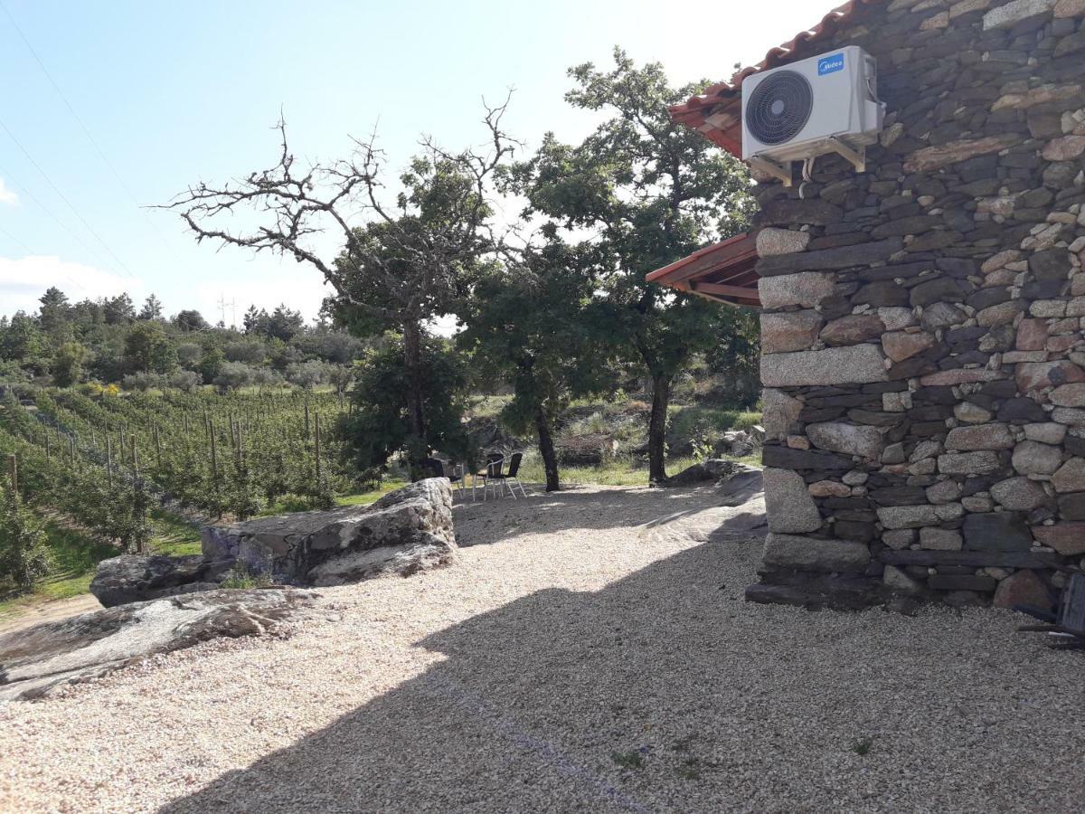 فيلا Casa Do Feitor - Douro - Quinta Da Cabrida Sendim  المظهر الخارجي الصورة