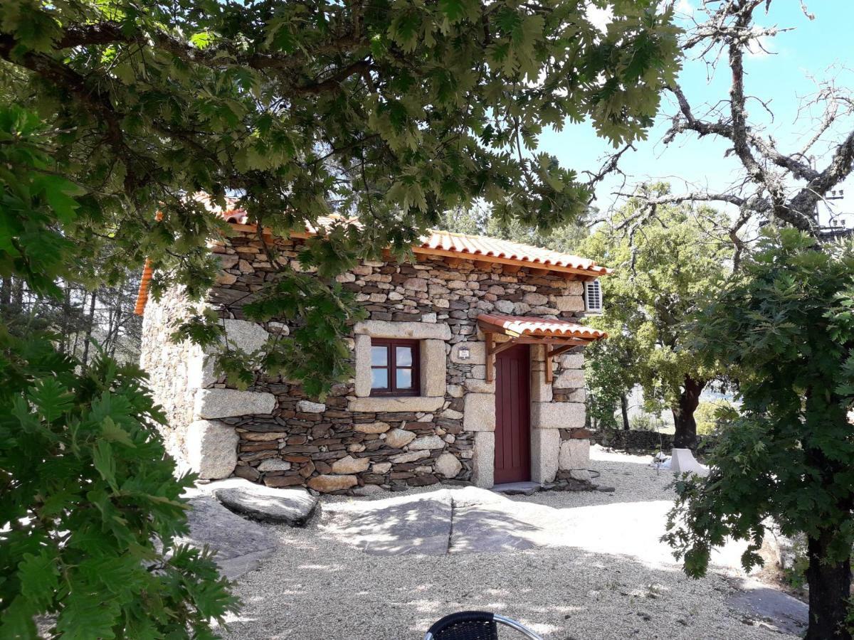 فيلا Casa Do Feitor - Douro - Quinta Da Cabrida Sendim  المظهر الخارجي الصورة