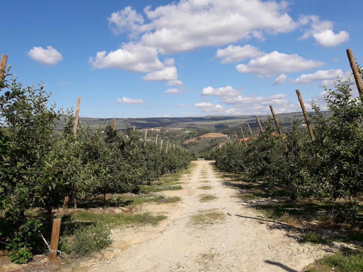 فيلا Casa Do Feitor - Douro - Quinta Da Cabrida Sendim  المظهر الخارجي الصورة