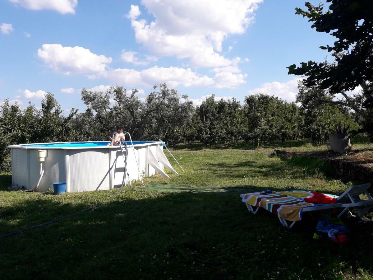 فيلا Casa Do Feitor - Douro - Quinta Da Cabrida Sendim  المظهر الخارجي الصورة
