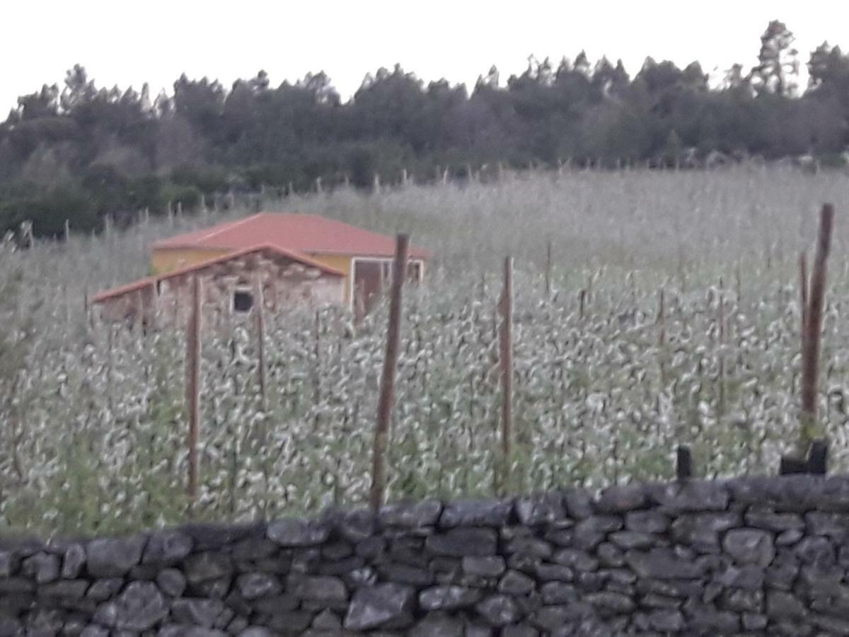 فيلا Casa Do Feitor - Douro - Quinta Da Cabrida Sendim  المظهر الخارجي الصورة