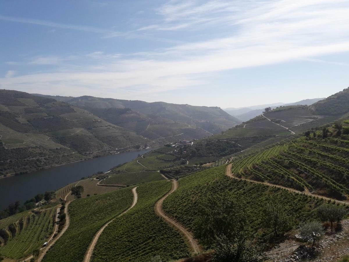فيلا Casa Do Feitor - Douro - Quinta Da Cabrida Sendim  المظهر الخارجي الصورة