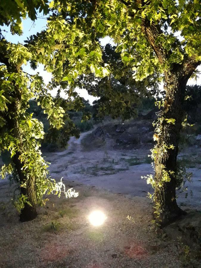 فيلا Casa Do Feitor - Douro - Quinta Da Cabrida Sendim  المظهر الخارجي الصورة