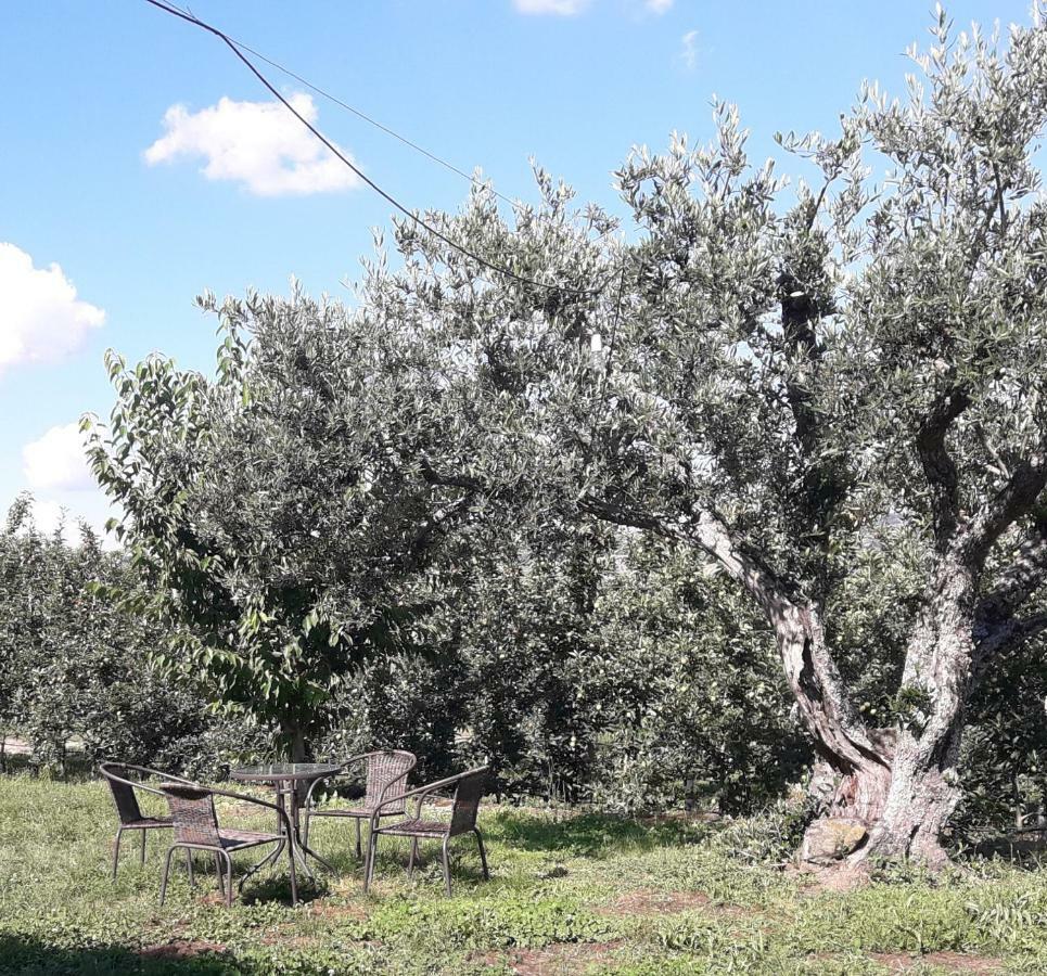 فيلا Casa Do Feitor - Douro - Quinta Da Cabrida Sendim  المظهر الخارجي الصورة