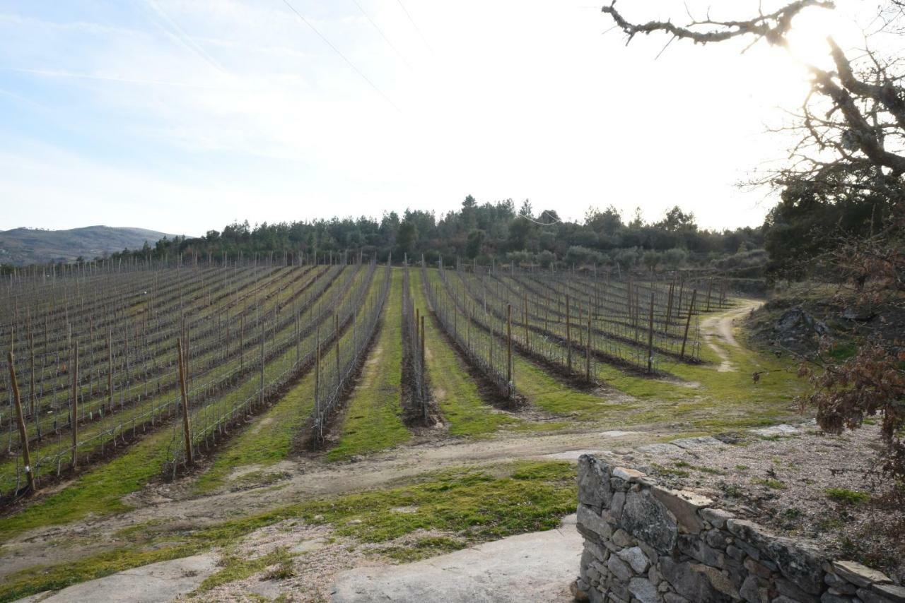 فيلا Casa Do Feitor - Douro - Quinta Da Cabrida Sendim  المظهر الخارجي الصورة