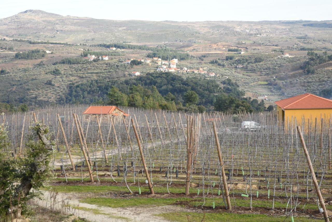 فيلا Casa Do Feitor - Douro - Quinta Da Cabrida Sendim  المظهر الخارجي الصورة